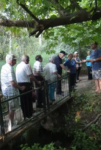 טיול הגושרים - הקבוצה עוברת על גשר מתחת מים ומעל צמחיה של עצים