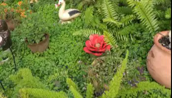 פסטיבל גינות פתוחות באחוזת פולג